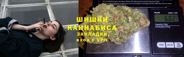 дживик Мегион