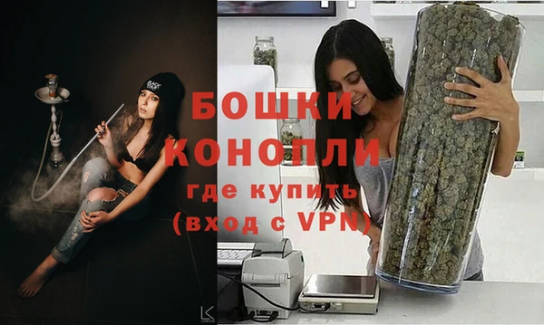 дживик Мегион