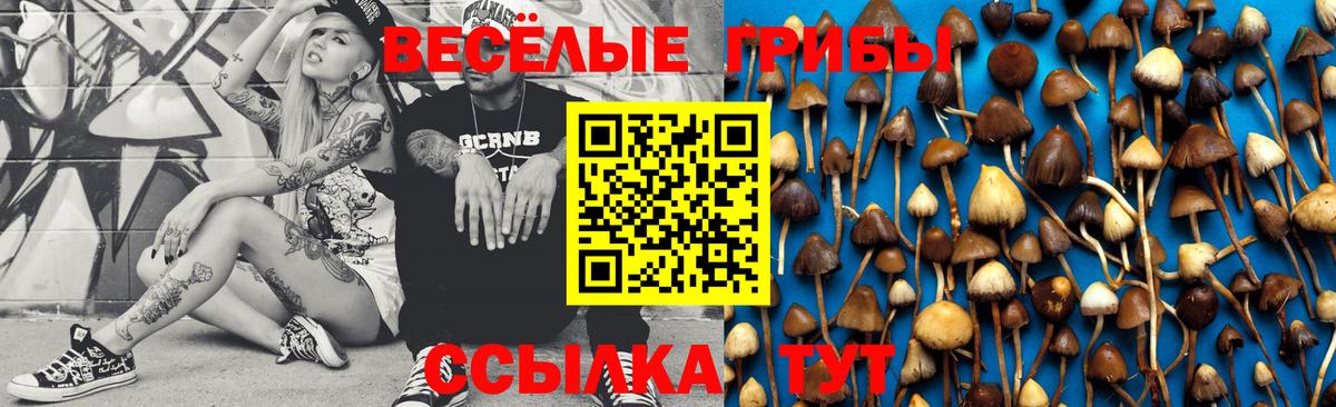 купить  цена  Псилоцибиновые грибы GOLDEN TEACHER  Вход с VPN  Фурманов  Галлюциногенные грибы Psilocybine cubensis 